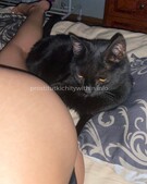 Анкета проститутки Ленусик - метро Проспект Вернадского, возраст - 22